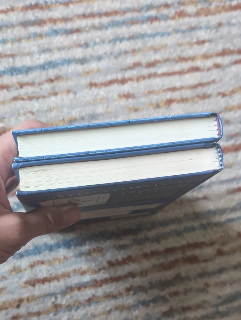 amulet includes diary